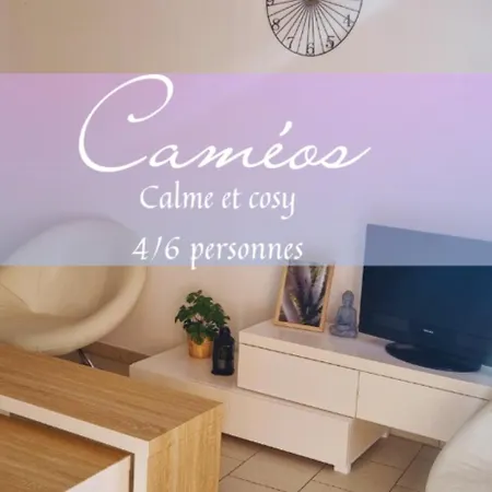 Apartment Cameos - Avec Terrasse Locairbi *